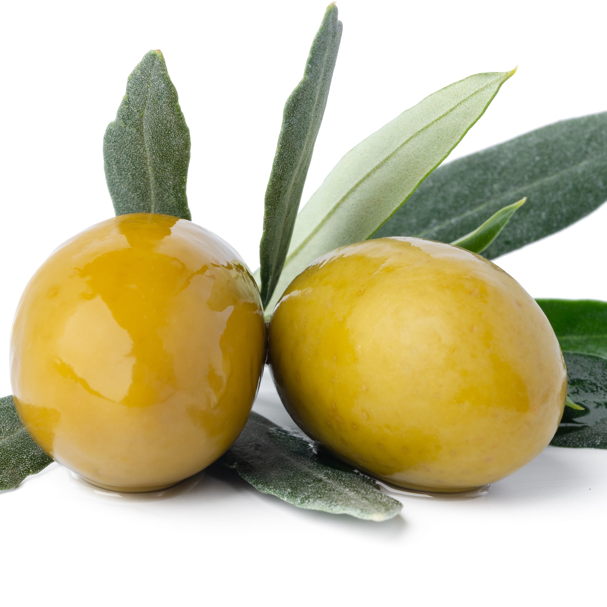 Plant extracts: squalane derived from olives