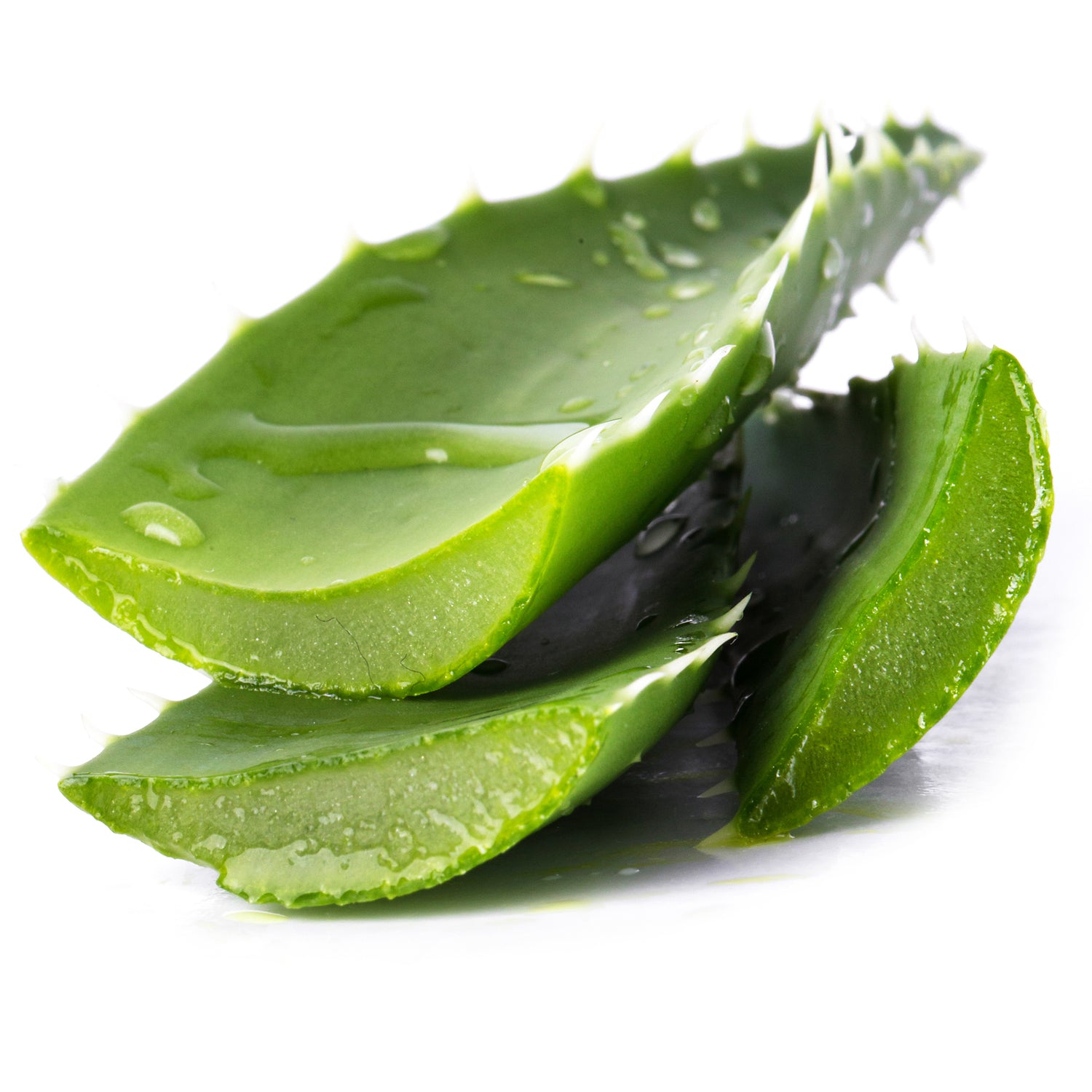 plant_extracts_aloe_vera